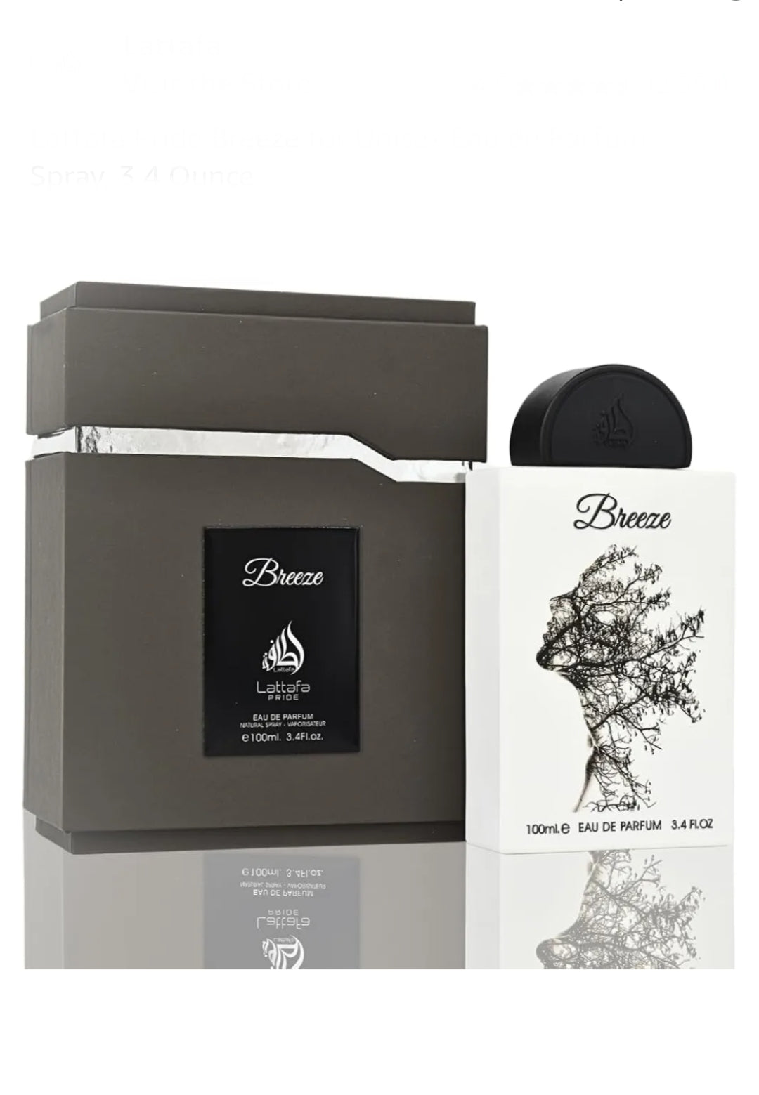 BREEZE EDP by Lattafa Pride 100ml – lutfi.sg